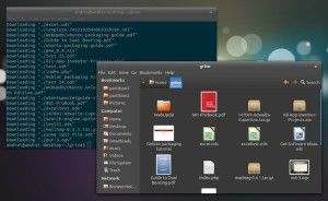 Grive, un cliente de Google Drive para Linux
