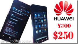 Huawei Y300, precio, características y especificaciones