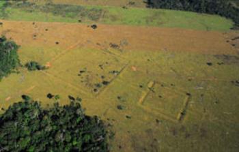 Google Earth podría haber descubierto una ciudad perdida en el Amazonas
