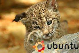 ubuntu-10.04.3-lts