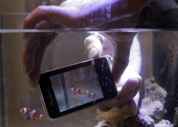 sucesor xperia active xperia lotus