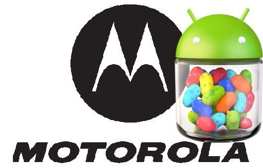 Motorola Razr Maxx Droid Razr Jelly Bean