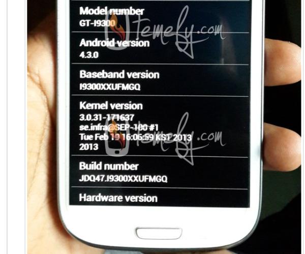 Samsung Galaxy S3 se muestra con Android 4.3