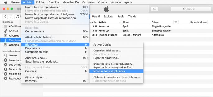 Borrar archivos duplicados iTunes