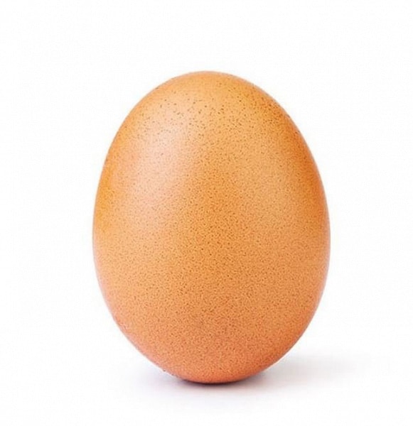 La fotografía de un huevo estableció un récord mundial en 