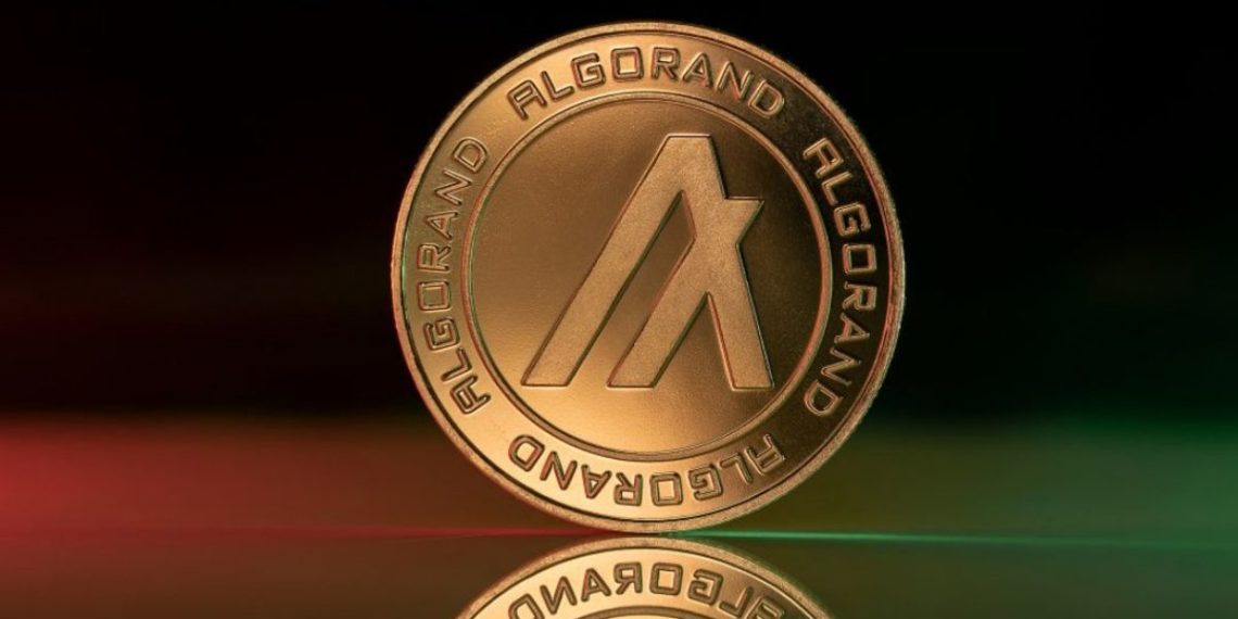 Estas criptomonedas a bajo precio podrían explotar en 2022