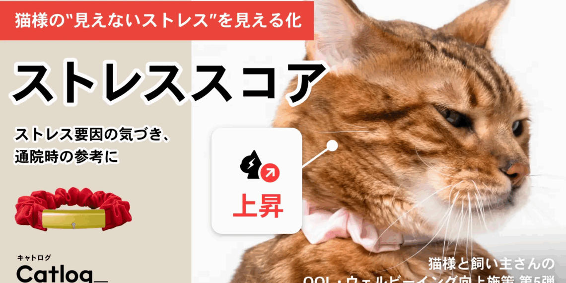 Catlog, el collar con inteligencia artificial que monitoriza el estrés de tu gato