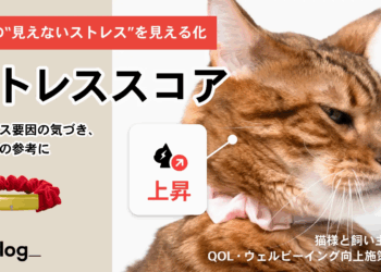 Catlog, el collar con inteligencia artificial que monitoriza el estrés de tu gato